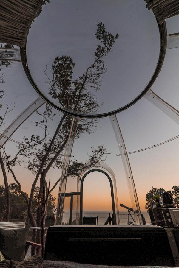 The Dome - Misty Mountain Reserve Thornham Buitenkant foto